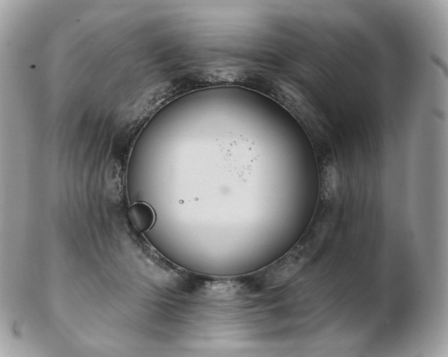 X0000103280414200808291316