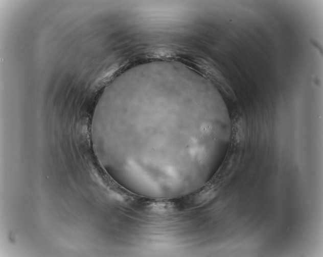 X0000103280415200808291316