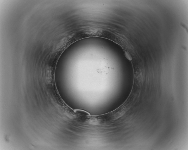 X0000103280416200808291316