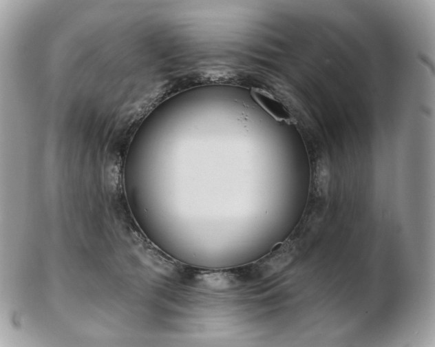 X0000103280417200808291316