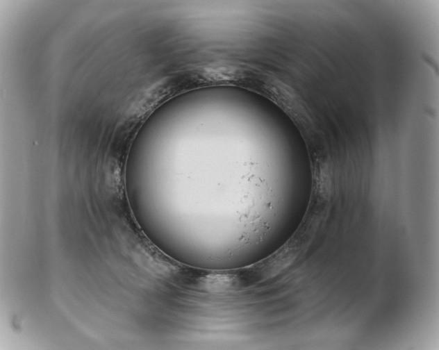 X0000103280418200808291316