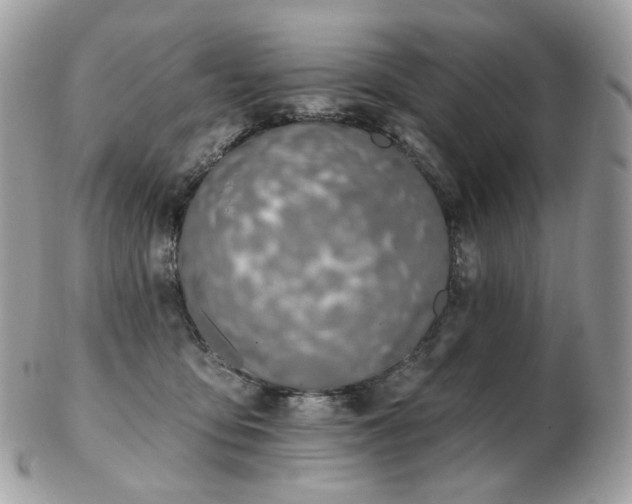 X0000103280419200808291316