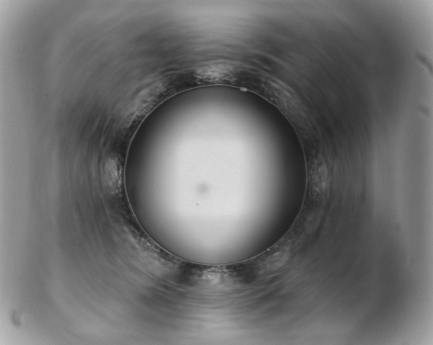 X0000103280420200808291316