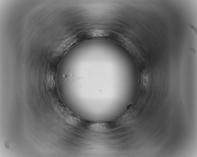 X0000103280422200808291315