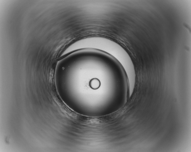 X0000103280423200808291315