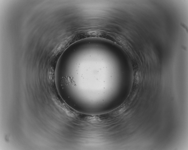 X0000103280424200808291315