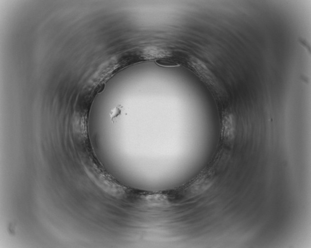 X0000103280426200808291315