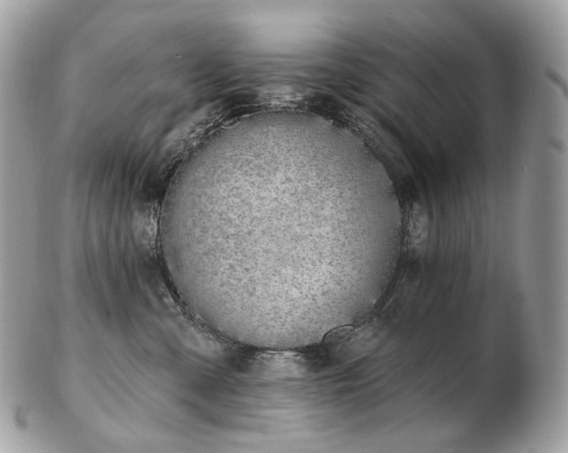 X0000103280427200808291315