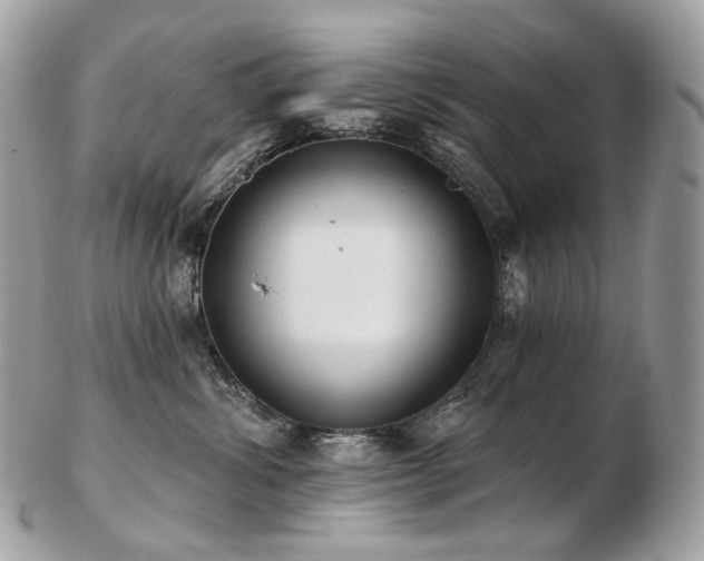 X0000103280428200808291315