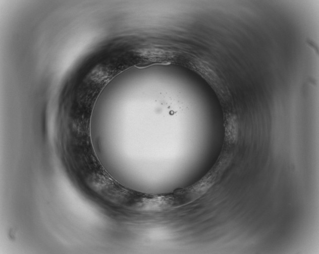 X0000103280430200808291315