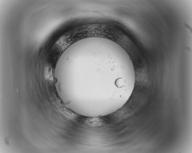 X0000103280431200808291315