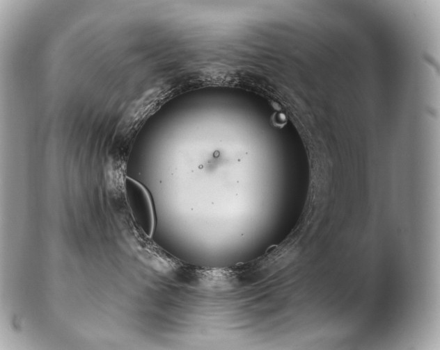 X0000103280432200808291315