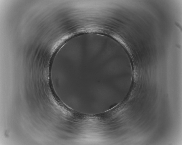 X0000103280438200808291315