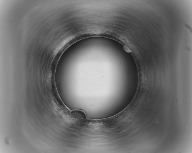 X0000103280440200808291315