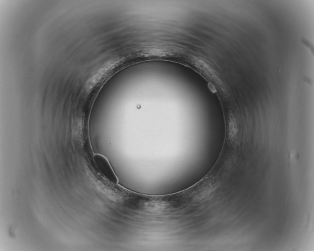 X0000103280444200808291315