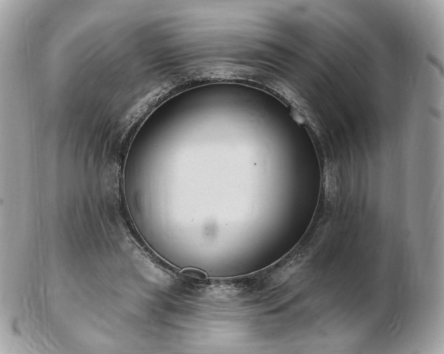 X0000103280445200808291315