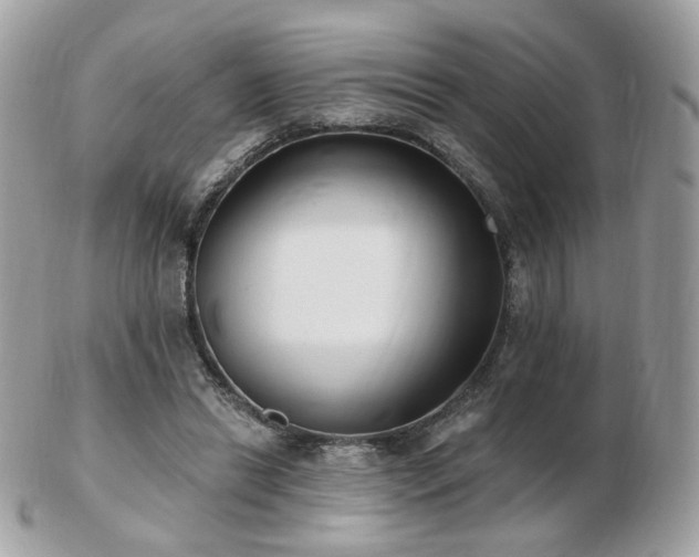 X0000103280446200808291315