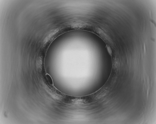 X0000103280448200808291315