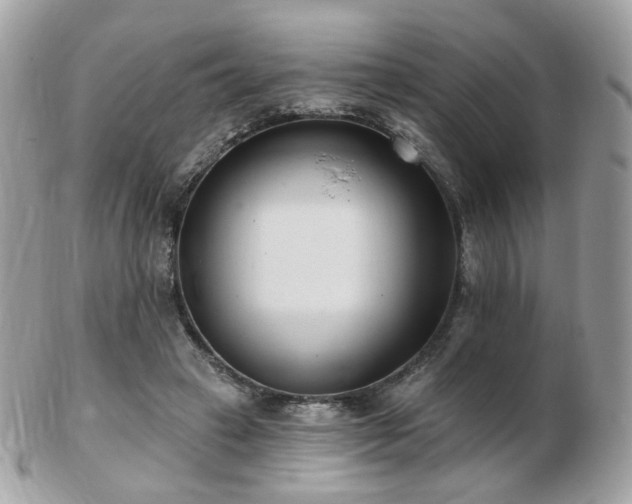 X0000103280449200808291315