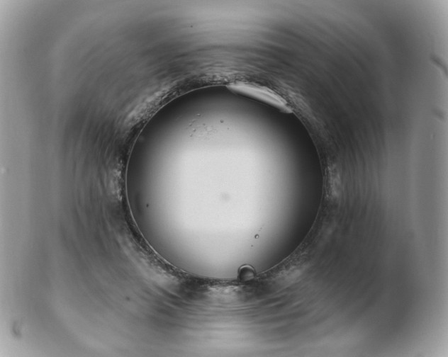 X0000103280450200808291315