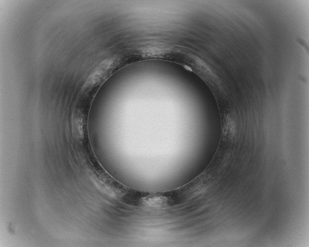 X0000103280452200808291315