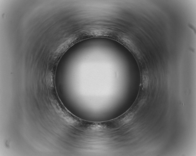 X0000103280453200808291315