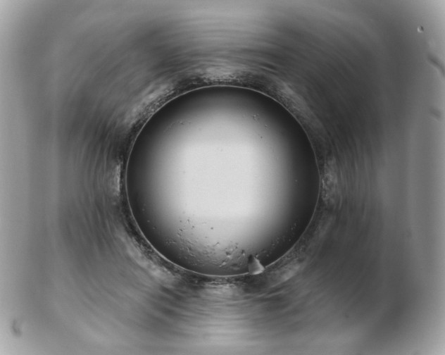 X0000103280454200808291315