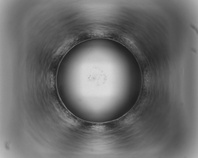 X0000103280457200808291315