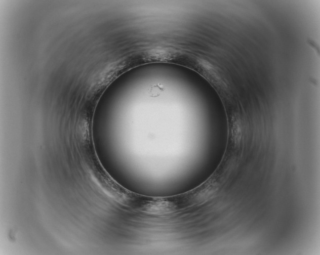 X0000103280459200808291315