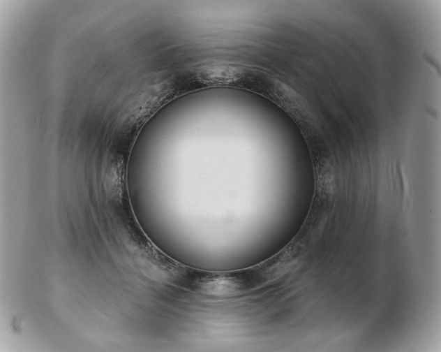 X0000103280460200808291315