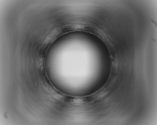 X0000103280462200808291315