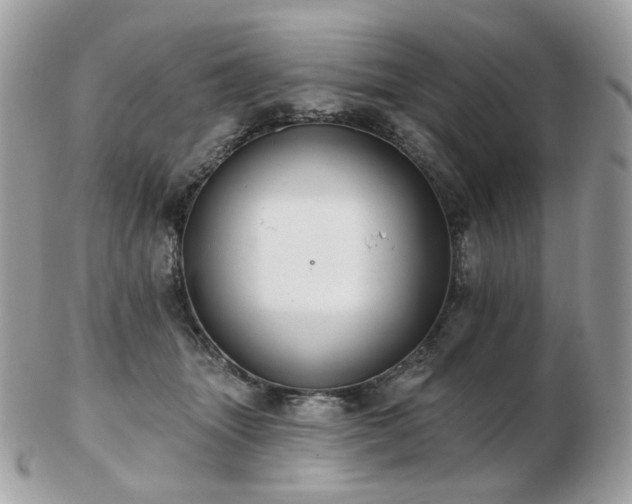 X0000103280463200808291315