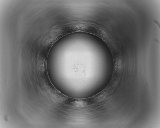 X0000103280464200808291315