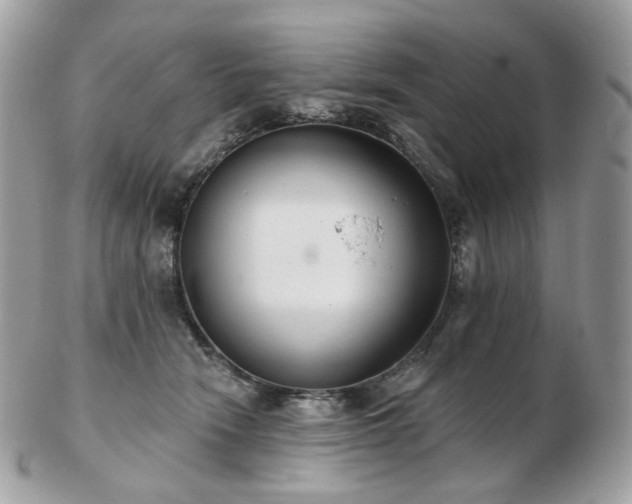 X0000103280466200808291315