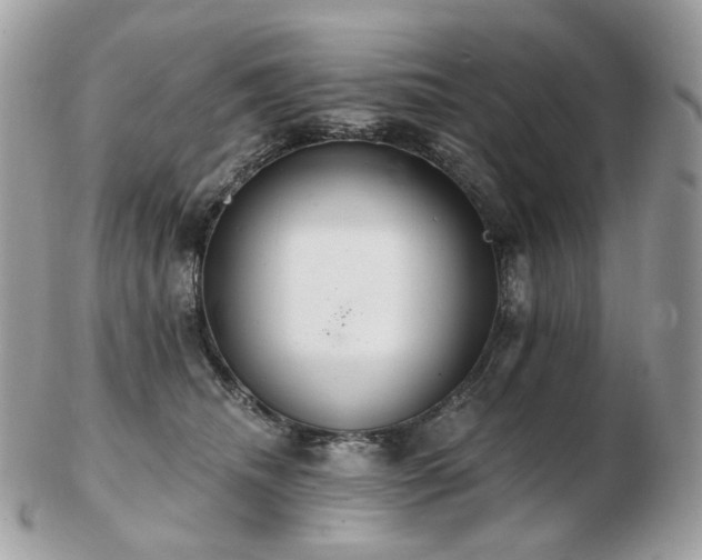 X0000103280468200808291315