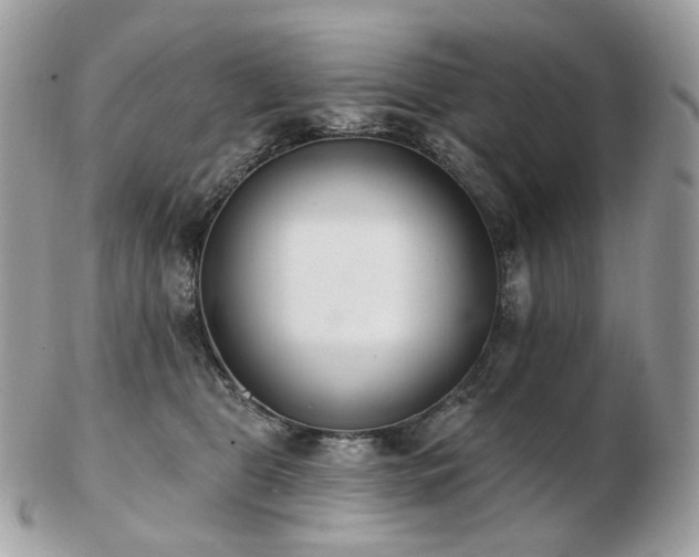 X0000103280469200808291315