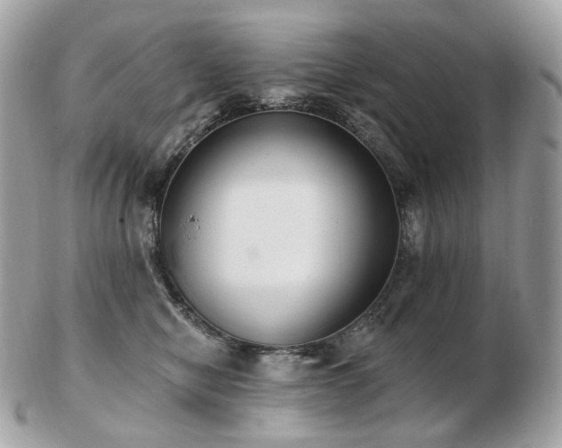 X0000103280470200808291315