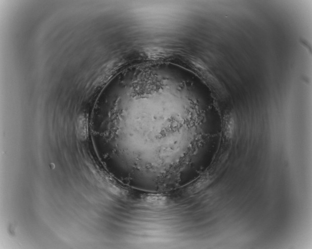 X0000103280471200808291315