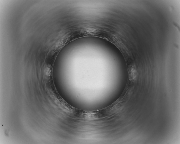 X0000103280472200808291315