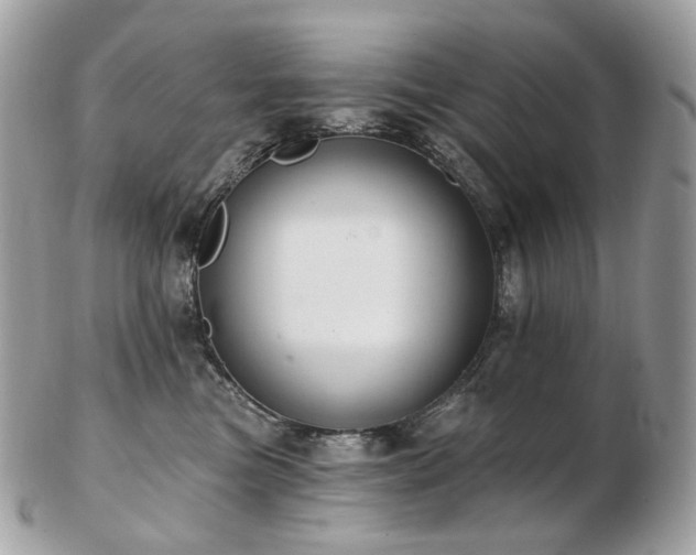 X0000103280473200808291315