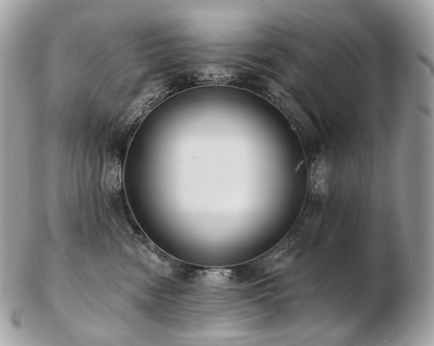 X0000103280474200808291315