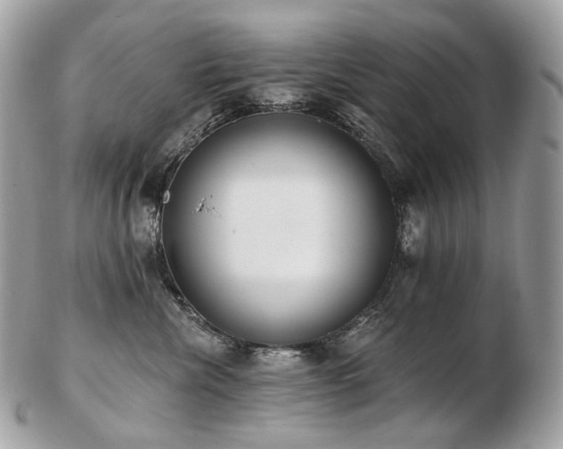 X0000103280476200808291315