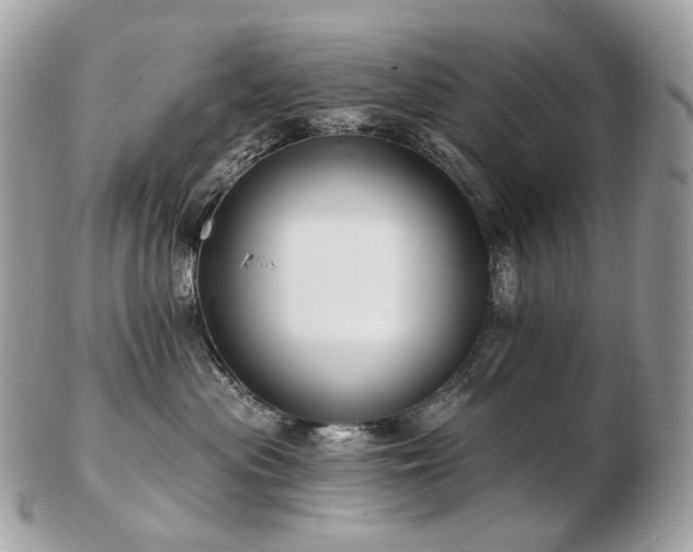 X0000103280477200808291315