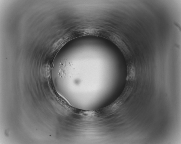 X0000103280478200808291315