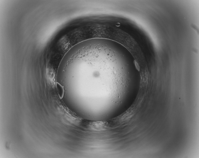 X0000103280479200808291315