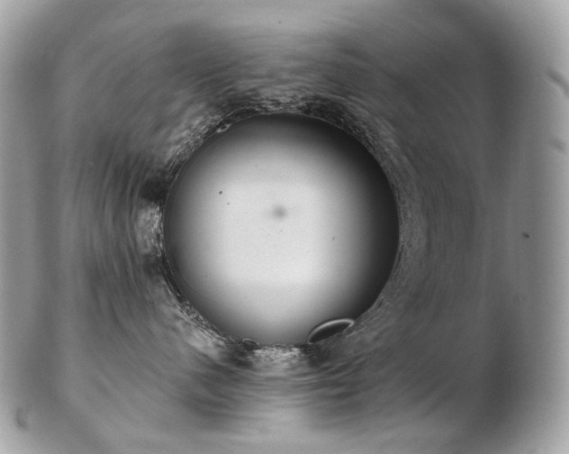 X0000103280480200808291315