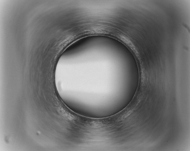 X0000103280481200808291315