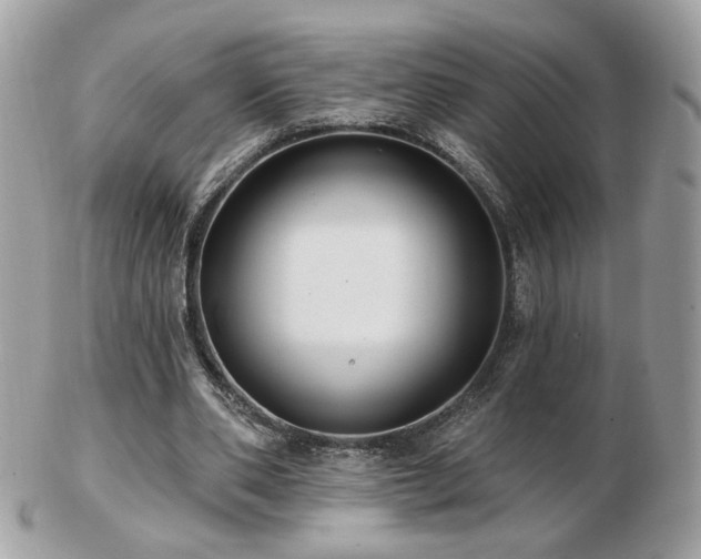 X0000103280486200808291315