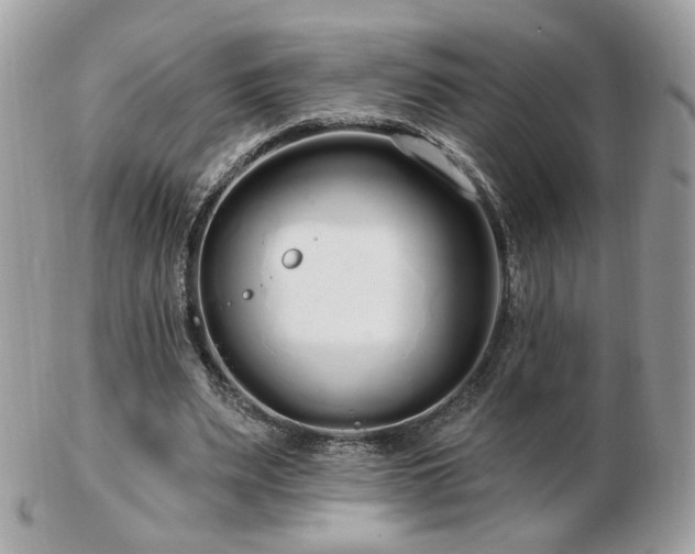 X0000103280487200808291315