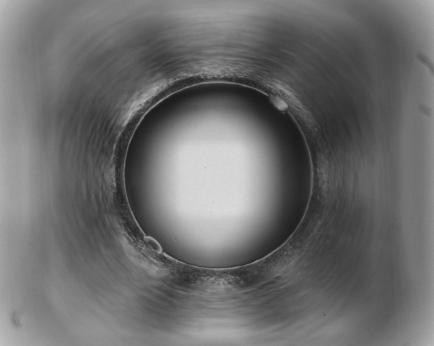 X0000103280488200808291315